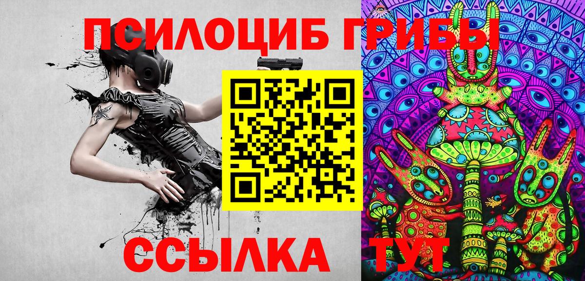 Альметьевск  Псилоцибиновые грибы Cubensis  Вход с VPN 